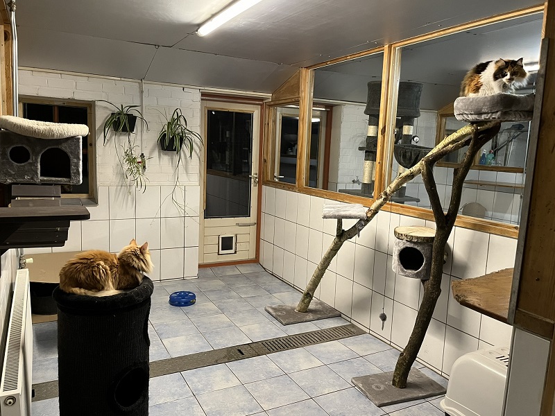 Dierenpension De Eersteling